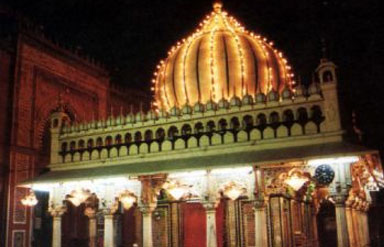 Ranthambore Tiger Tour