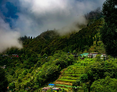 Assam Valley Tour