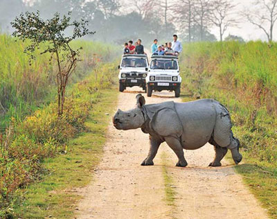 Adventure Tour India