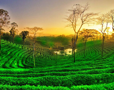 Aurangabad Extension